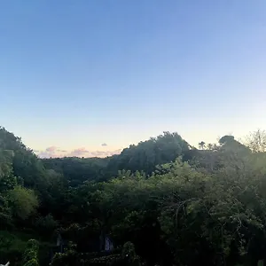 https://lcrin-de-verdure.comcaribbean.com
