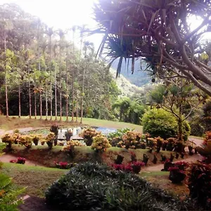 https://la-petite-charmeuse.comcaribbean.com